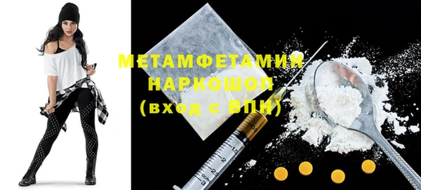 молекула духа Вяземский