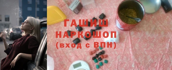 молекула духа Вяземский