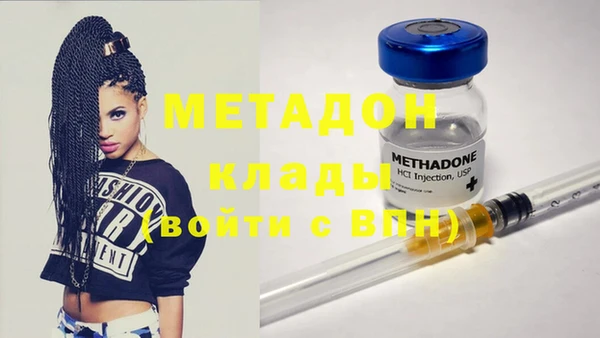 молекула духа Вяземский
