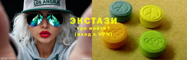 молекула духа Вяземский
