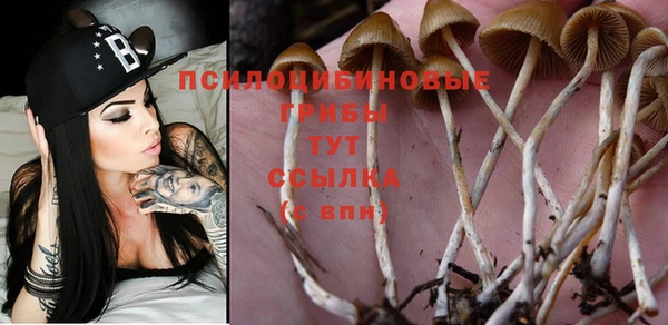 тгк Карталы