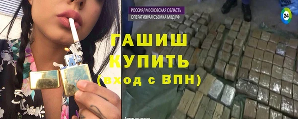 молекула духа Вяземский