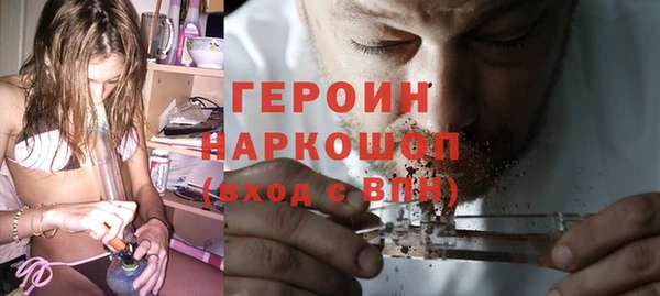 молекула духа Вяземский