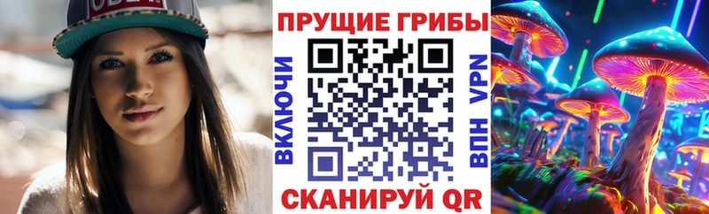 Псилоцибиновые грибы Psilocybe Змеиногорск